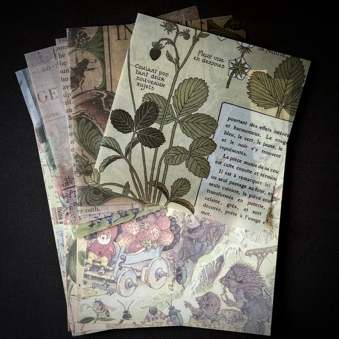 The Forest Floor Collage Kit - Stationery, Stickers, and Paper Ephemera for Junk Journaling