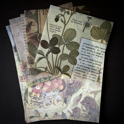 The Forest Floor Collage Kit - Stationery, Stickers, and Paper Ephemera for Junk Journaling