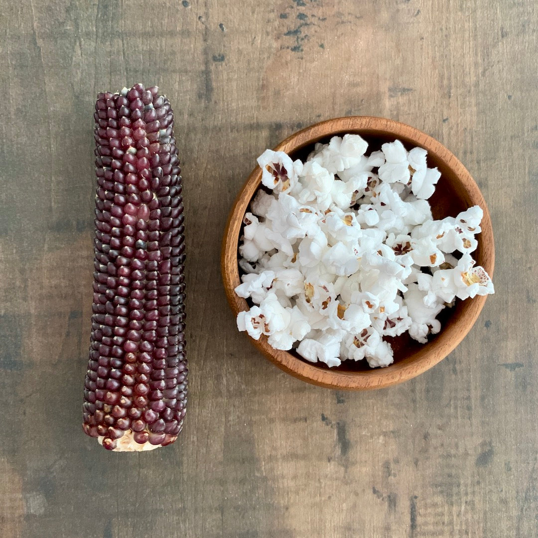 Grain for the Winter - Mini Popcorn Cob