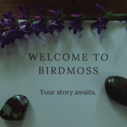 Welcome to Birdmoss Set