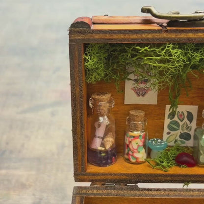 Forager's Study - Miniature Room Box Treasure Chest