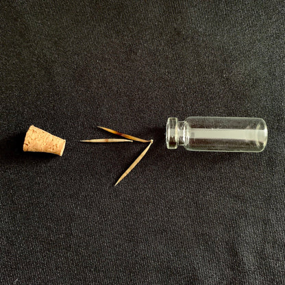 Hedgehog Quills - Oddment