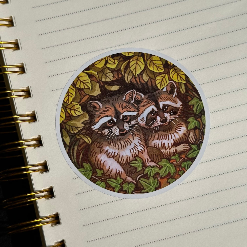 Peering Raccoons - Vinyl Sticker