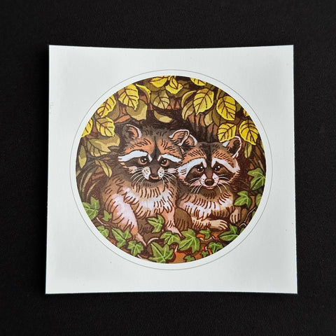 Peering Raccoons - Vinyl Sticker