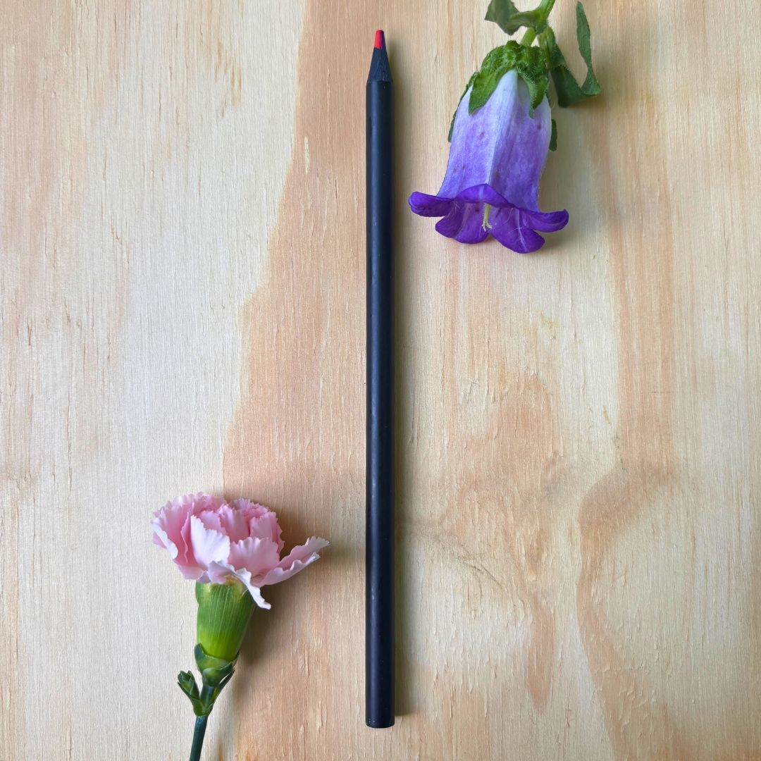 Instrument of Iris - Rainbow Pencil