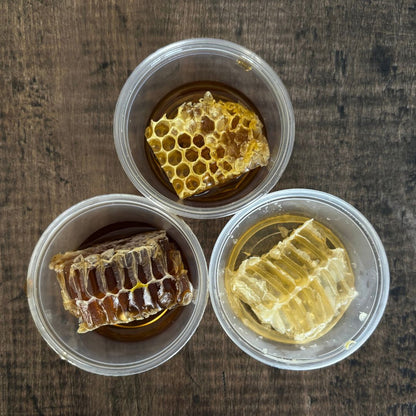 Comb Honey Rite – Portion of Honeycomb