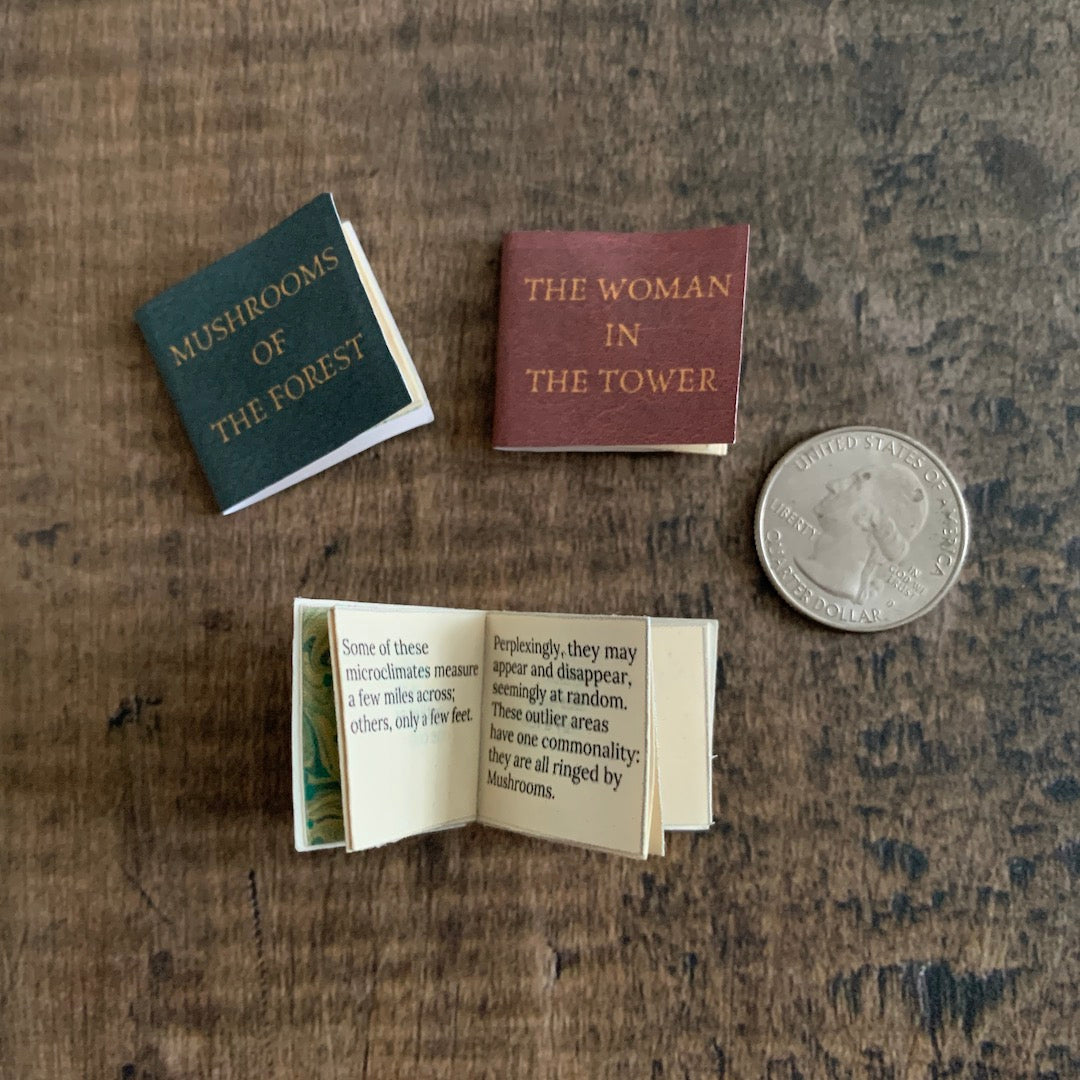 Mini Reference Book Reference Books - Miniature Readable Books Kit – Birdmoss