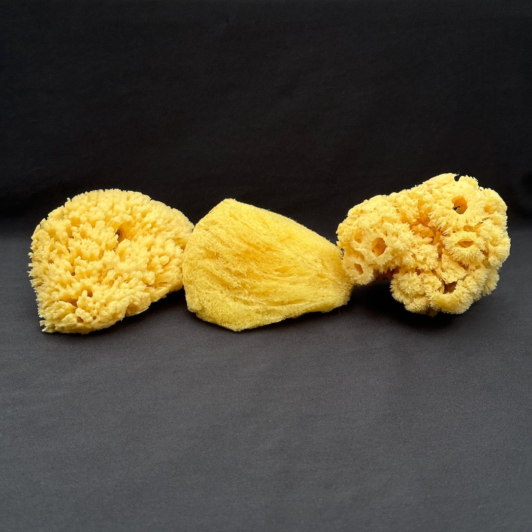 Natural Sea Sponge - Luxury Bath Accessory