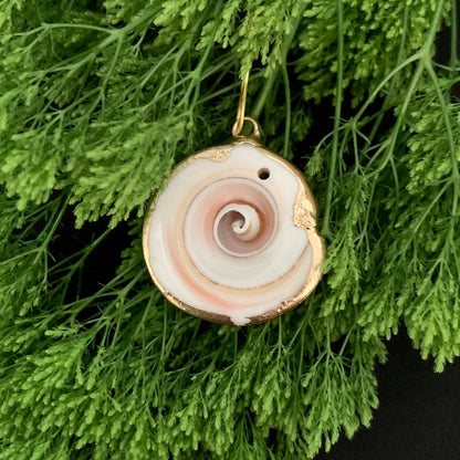 Spiral Spell - Gilded Shell Pin