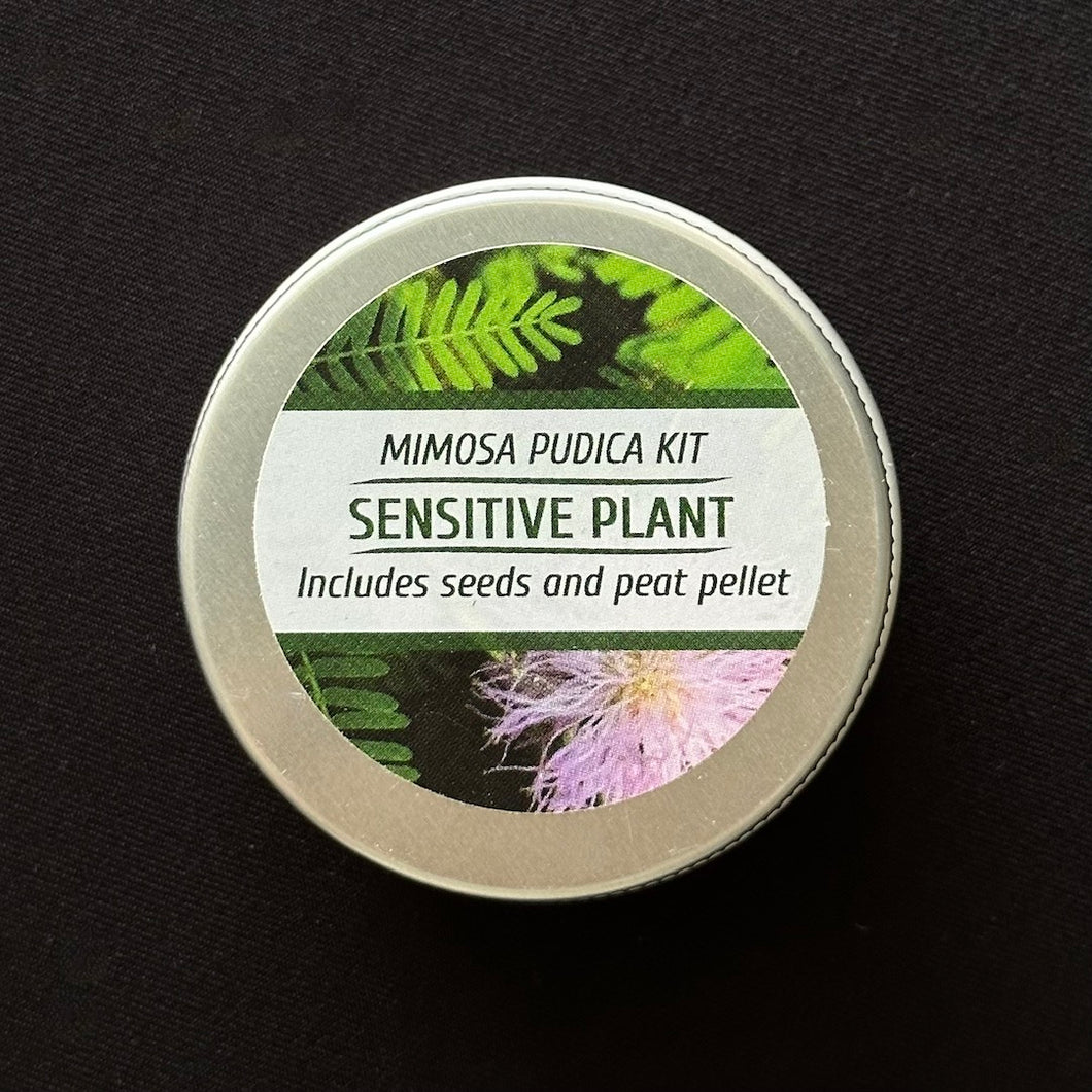 The Ferns Respond - Sensitive Plant Kit