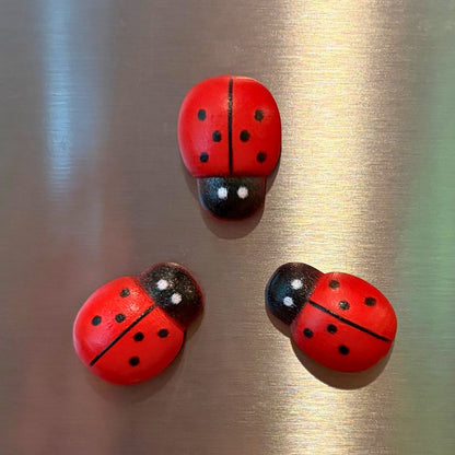 Lucky Trio - Magnetic Ladybug Plant Brooches