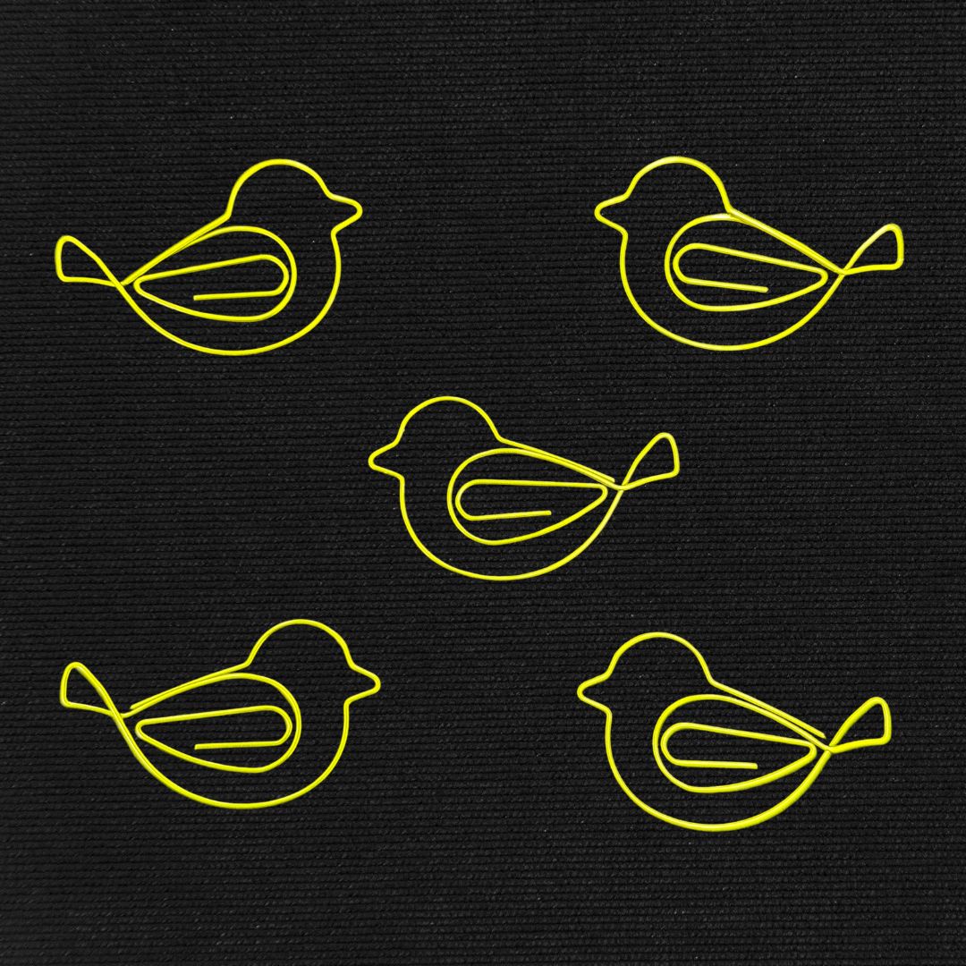 Bird Paperclips - Set of 5 - Oddment