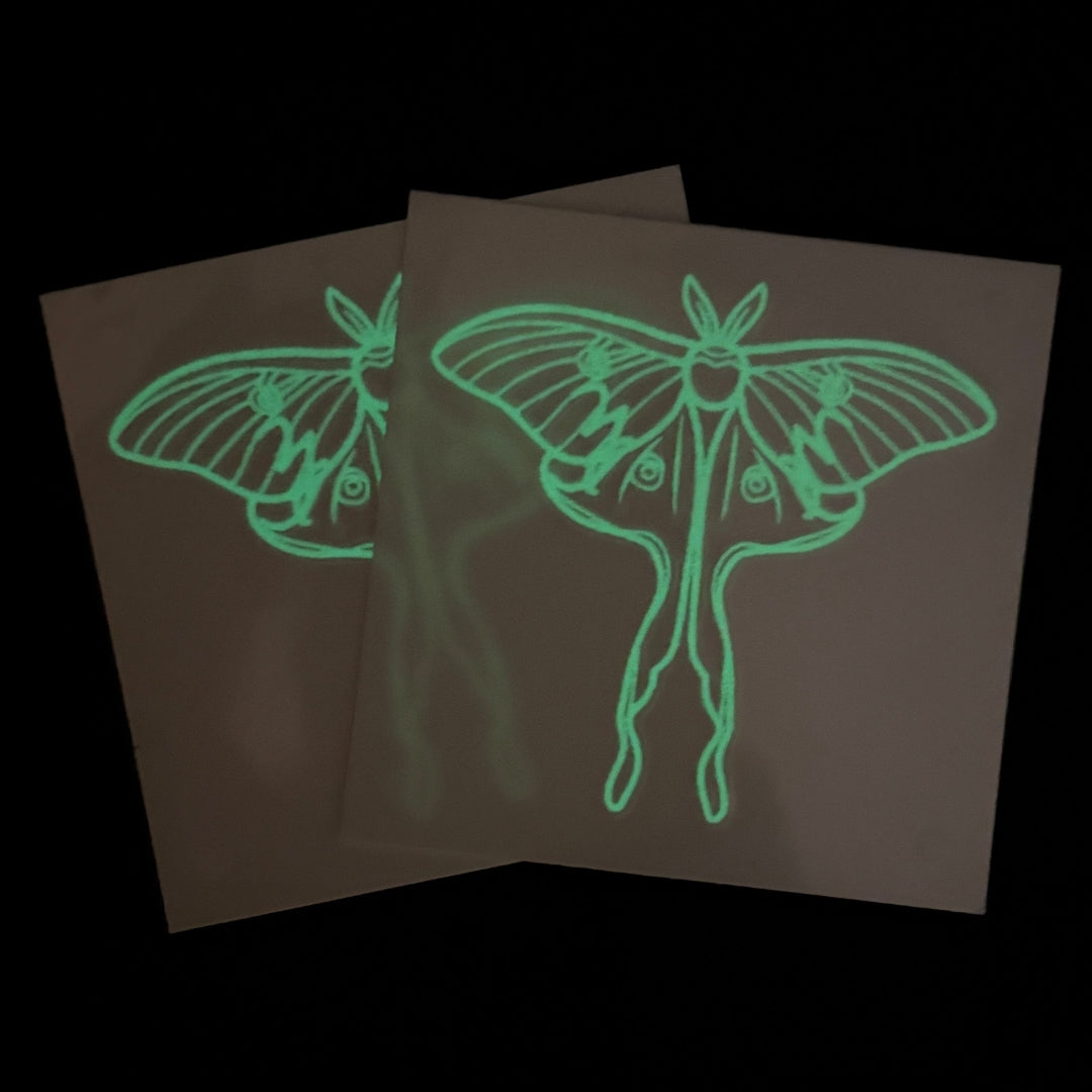 The Luna Moths - One-Time Box Purchase