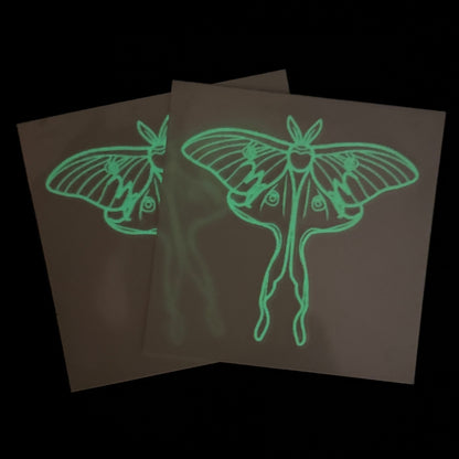 The Luna Moths - One-Time Box Purchase