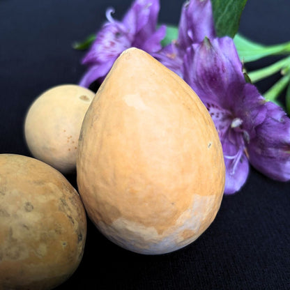 5 Egg Gourds - Oddment