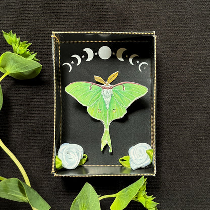 Book of Blooms - Luna Moth and Jasmine Papercraft Diorama Kit
