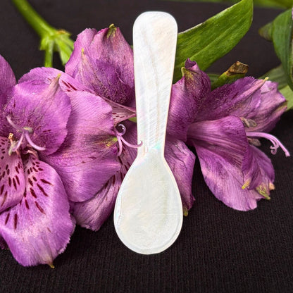Mother of Pearl Condiment Spoon Set of 4 - Oddment