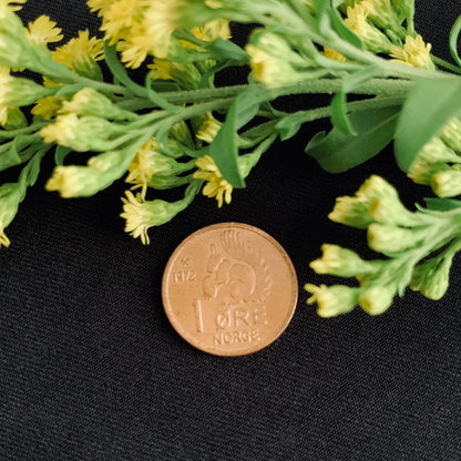 Copper Token - Squirrel Coin