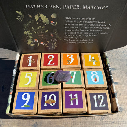 Whimsy Box - 2026 Advent Calendar - Preorder
