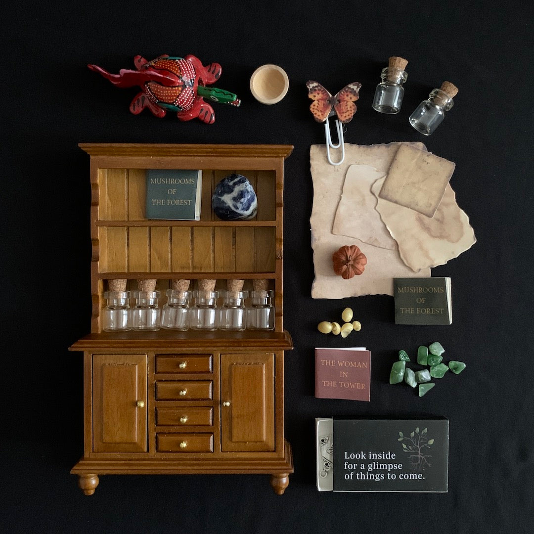 The Collector - One-Time Box Purchase – Birdmoss