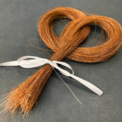Lock of Horse Hair - Oddment