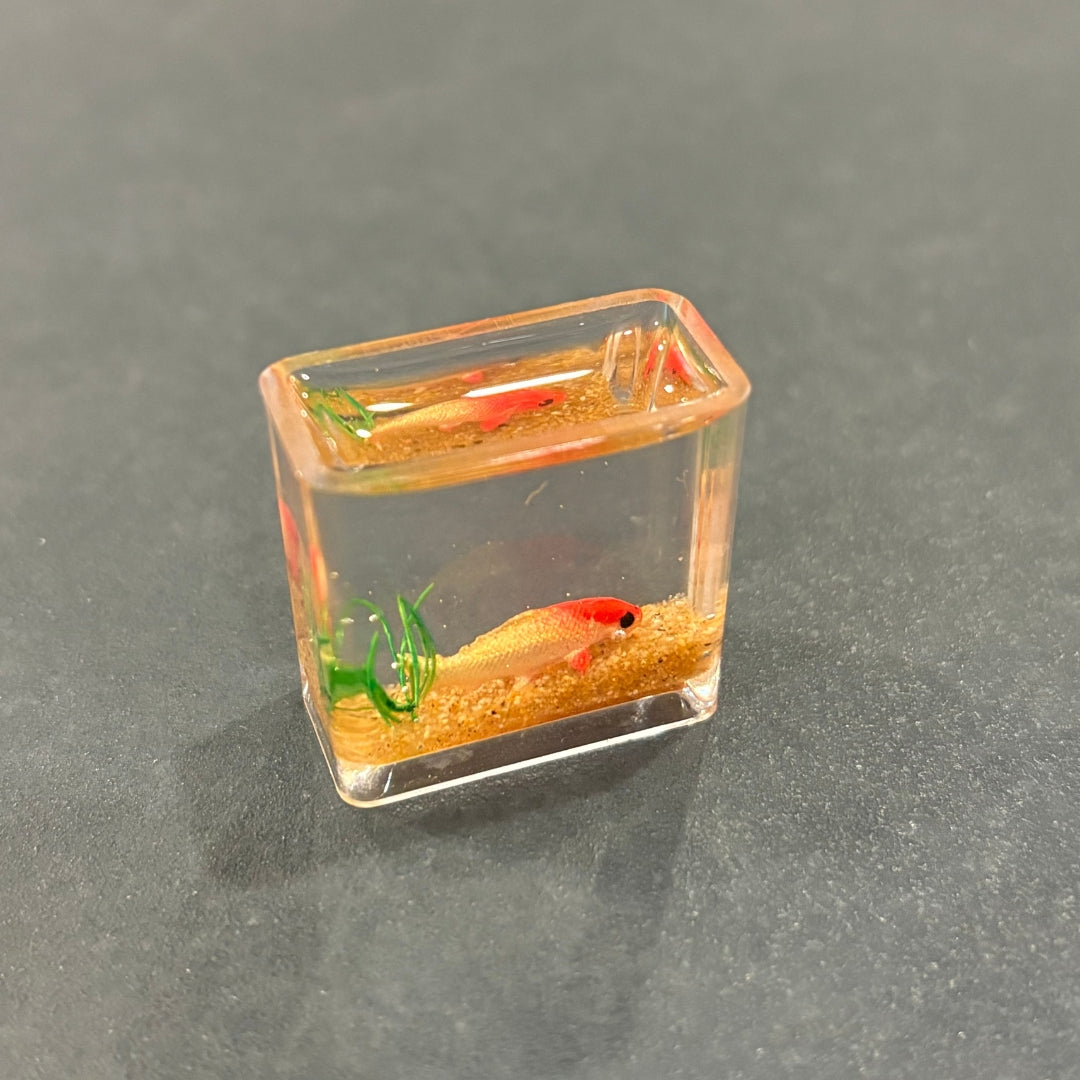 Aquarium Miniature - Oddment