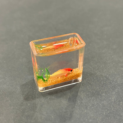 Aquarium Miniature - Oddment