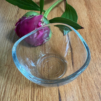 Miniature Water Garden - Rippling Glass Bowl and Tiny Ferns