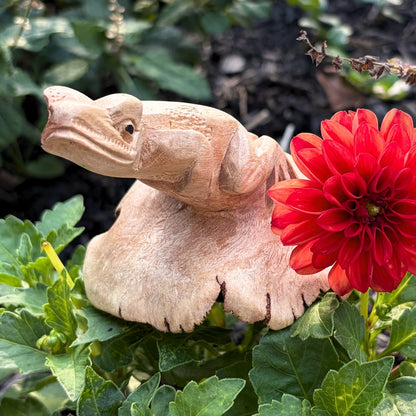 Hand-Carved Frog - Parasite Wood Sculpture