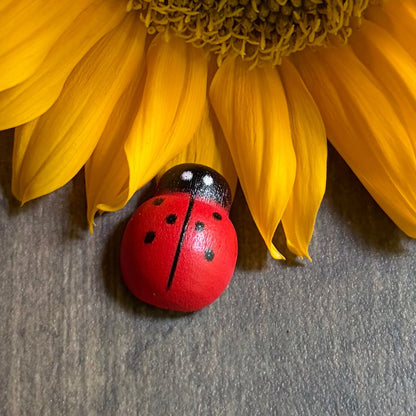 Lucky Trio - Magnetic Ladybug Plant Brooches