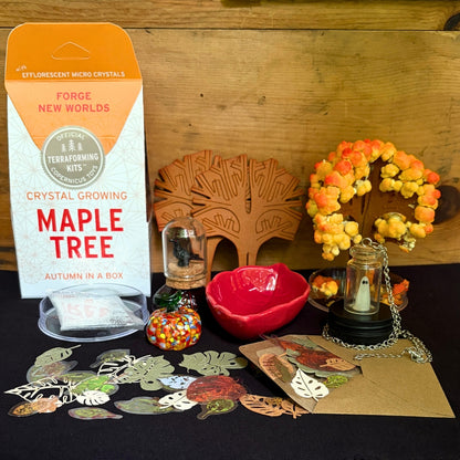 The Fall Festival - Limited Edition Box - Preorder