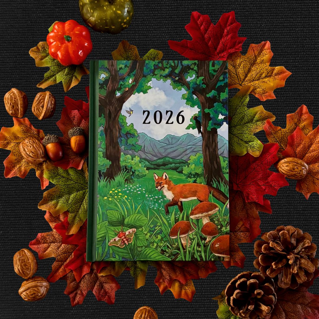 The Library - One-Time Box Purchase