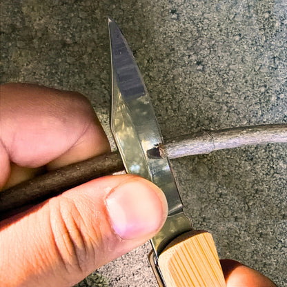 Shaping Knife - Folding Wooden Pocketknife