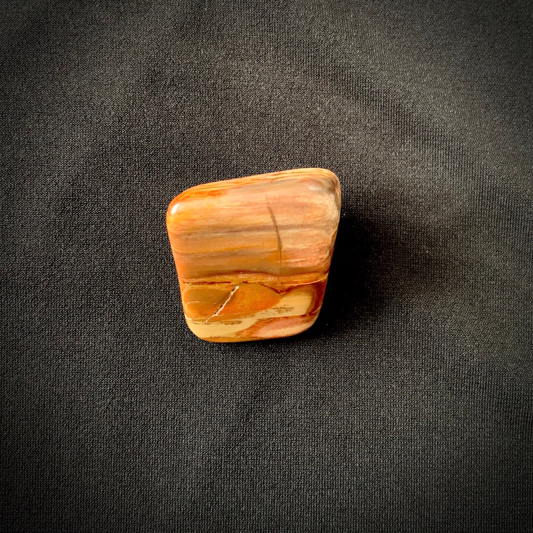 Petrified Wood