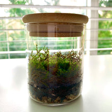 Load image into Gallery viewer, The White-Tipped Moss - Limited Edition Box
