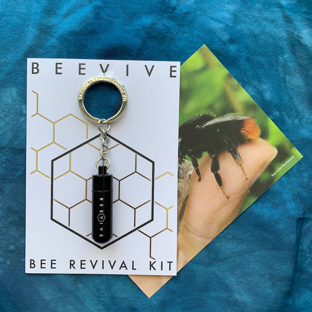 Bee Revival Kit