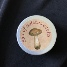 Load image into Gallery viewer, Salt of Boletus Edulis - Porcini Mushroom Salt
