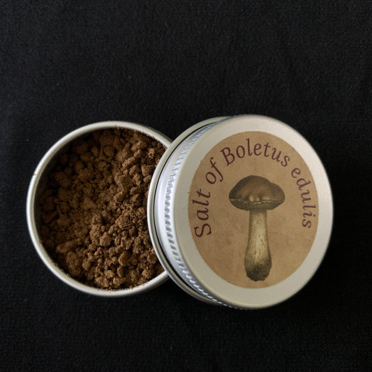 Salt of Boletus Edulis - Porcini Mushroom Salt