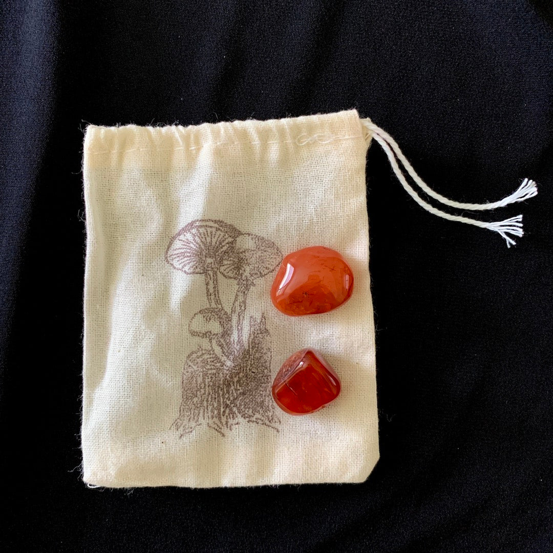 Stones of Return - Tumbled Carnelian