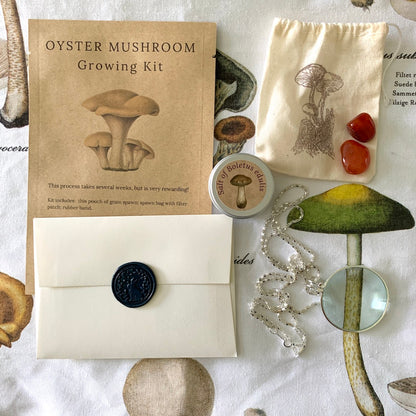 Birdmoss Subscription Mushrooms Gift Box