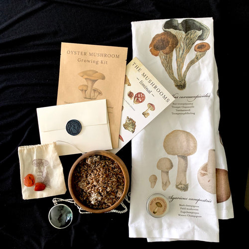 Birdmoss Subscription Mushrooms Gift Box