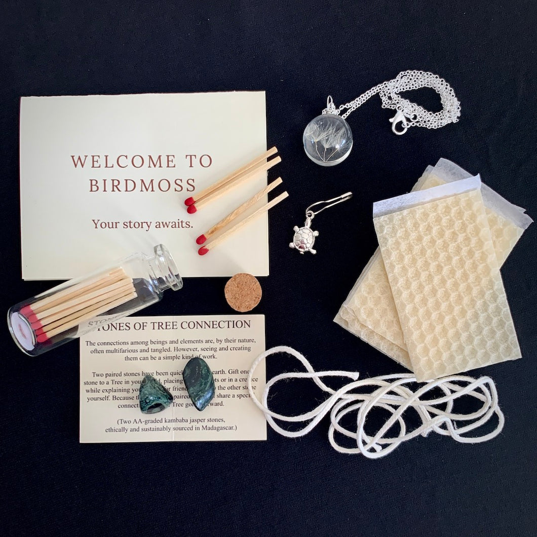 Introduction to Birdmoss Set