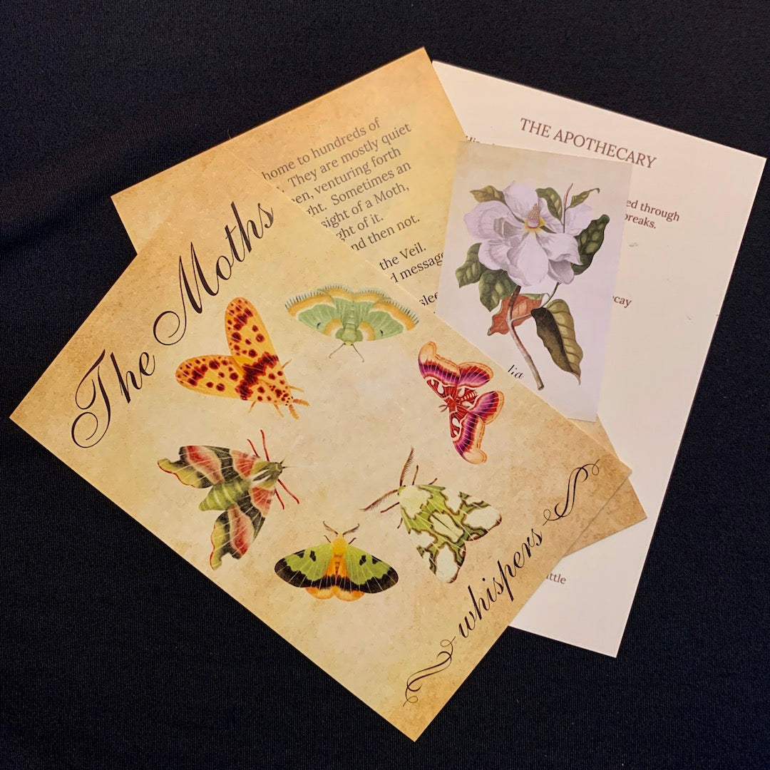 The Moths Collage Kit - Stickers and Paper Ephemera for Scrapbooking