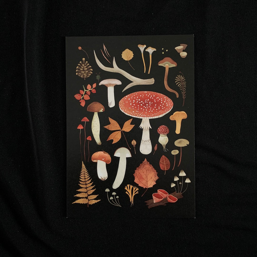Mushrooms Art Card