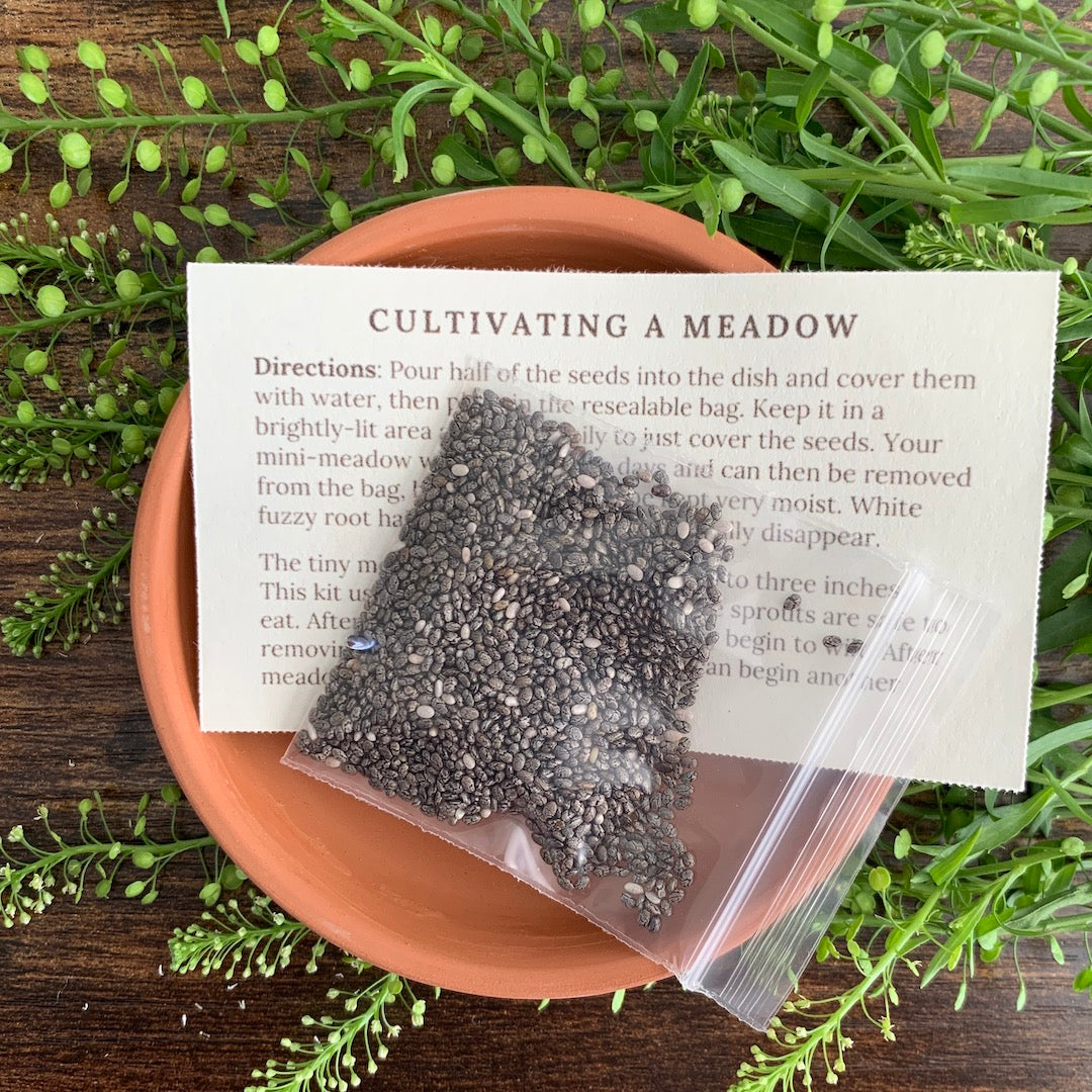 Mini Meadow - Desktop Garden Kit
