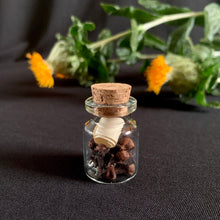 Load image into Gallery viewer, Jar of Cloves - Plus a Surprise
