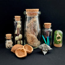 Load image into Gallery viewer, Box of Curiosities - Limited Edition Box
