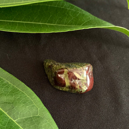 Frogstone - Dragon Bloodstone Jasper