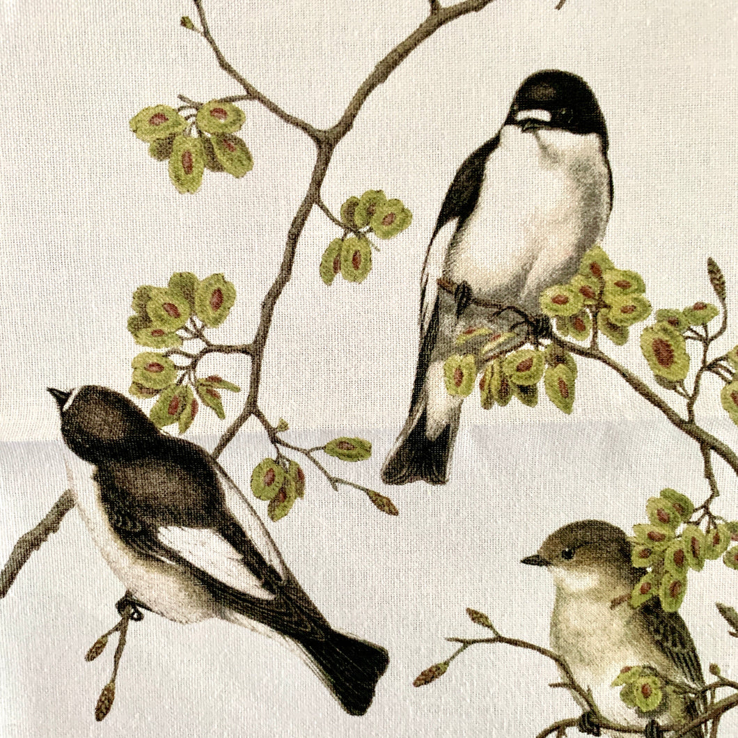 Pied Flycatcher - Bird Motif Tea Towel