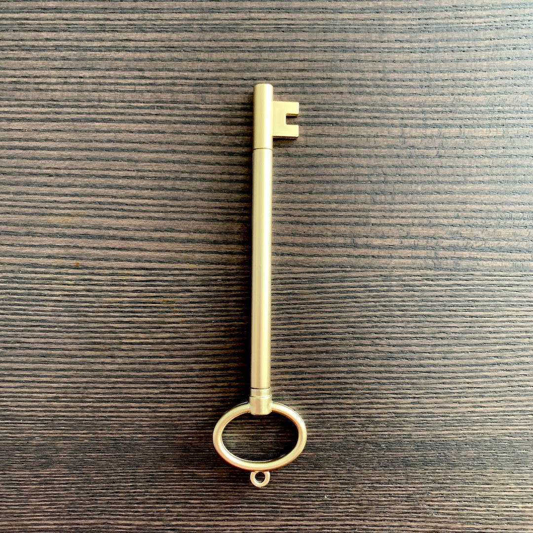 Key With A Secret - Key-Shaped Fineline Pen – Birdmoss